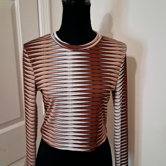 Striped Fitted Brown and Cream Women's Crop Top - Picture 6 of 7